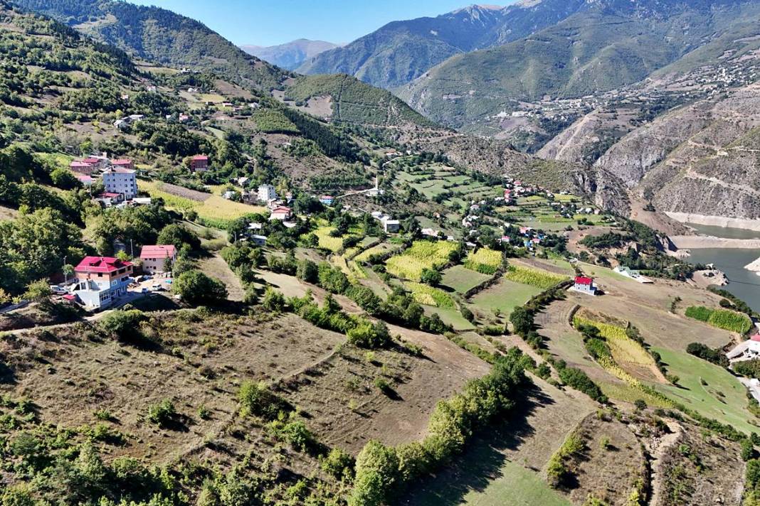 Bu ekmek, diyetisyen gibi: Kilo aldırmıyor, bir hafta bayatlamıyor! 7